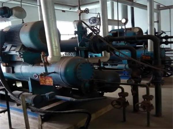 2045346.jpg 2045346.jpg