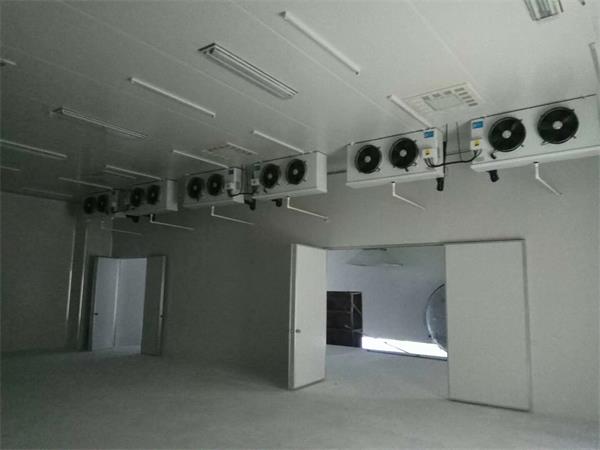 38974639645.jpg 38974639645.jpg